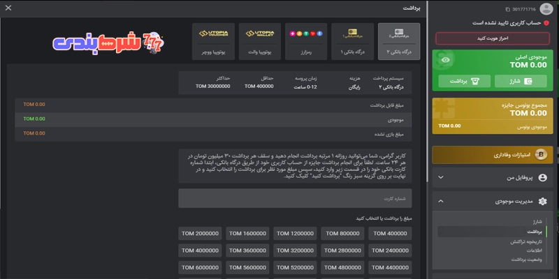 برداشت از بت 303